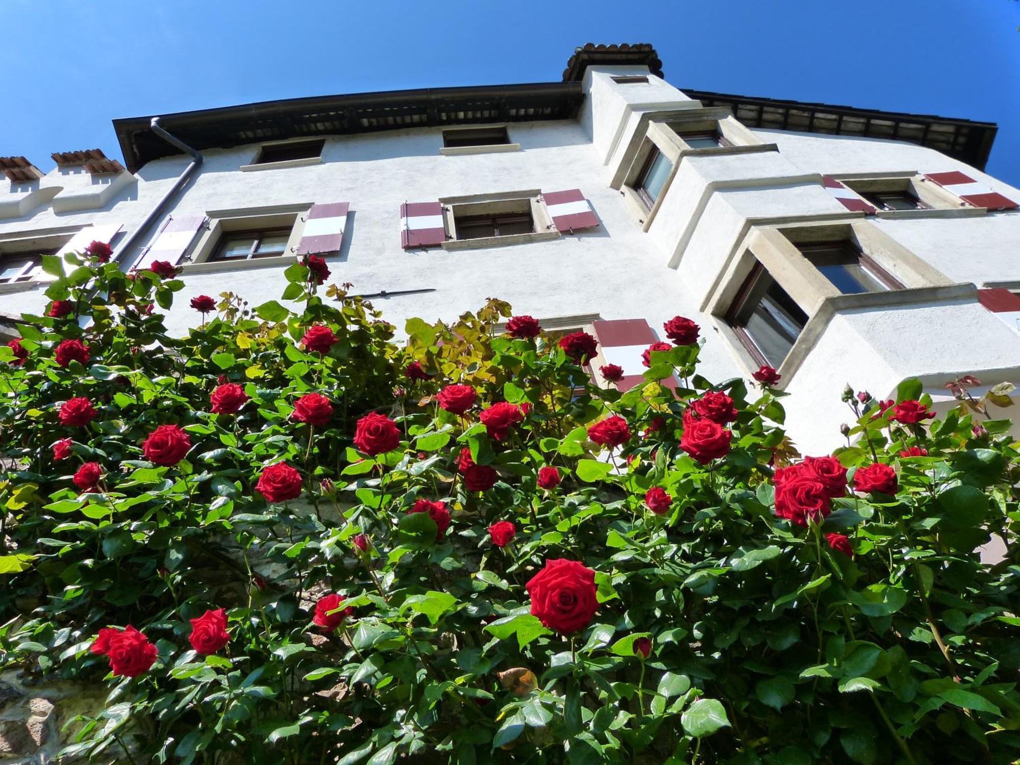 Apartments Schloss Paschbach Appiano Sulla Strada Del Vino Exterior photo